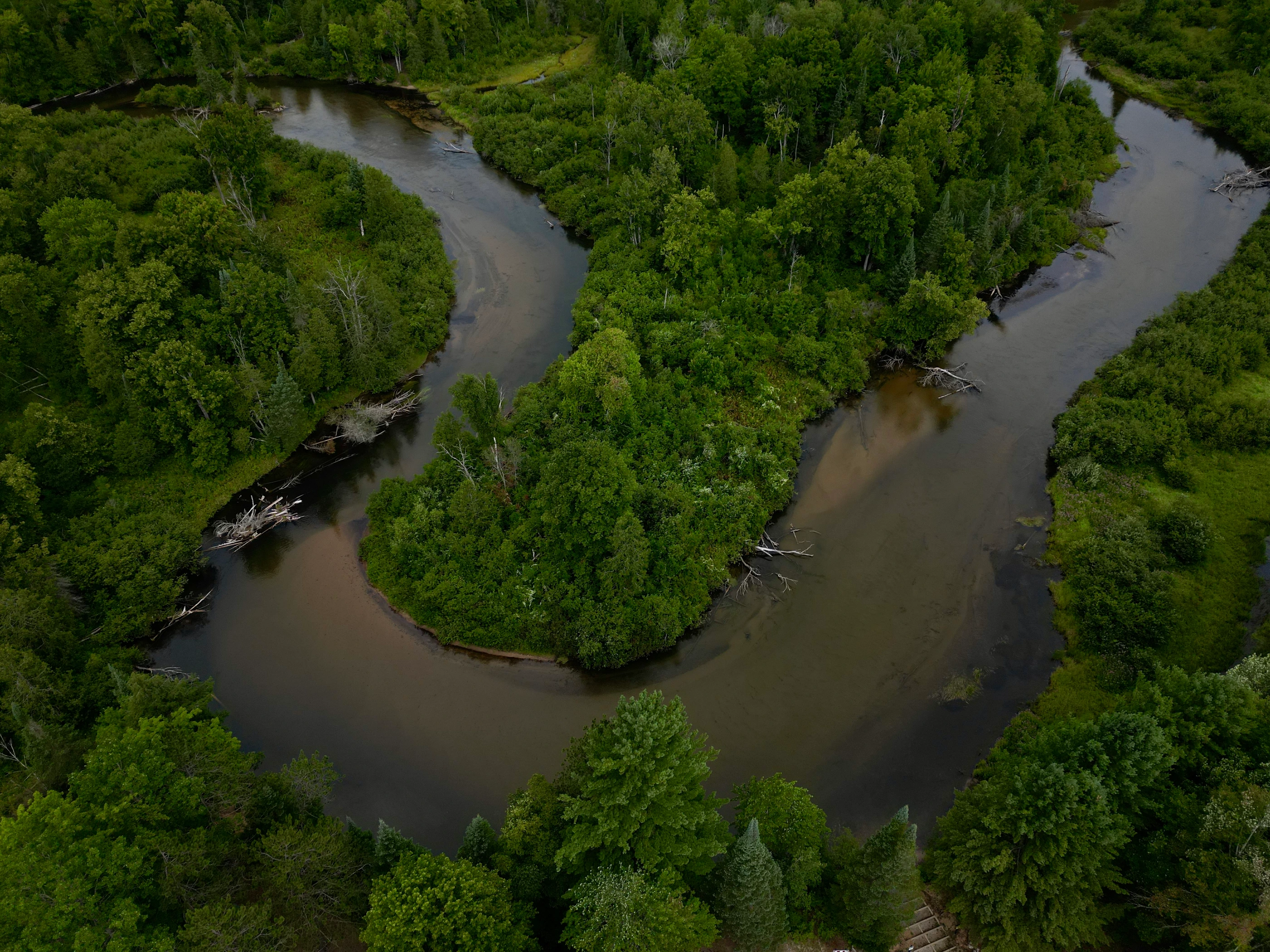 River background